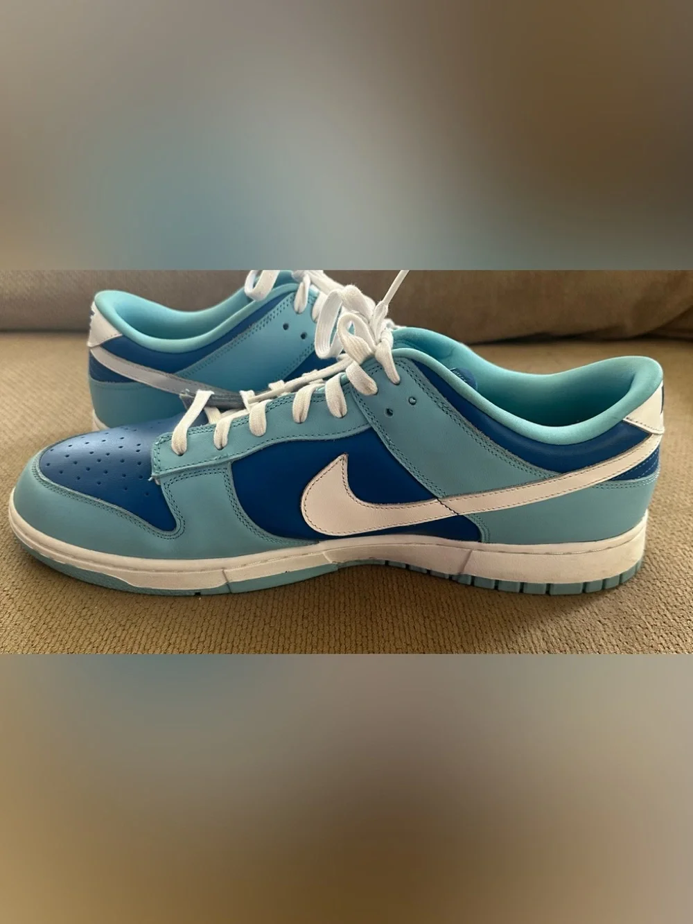 Nike Dunk Low Retro QS ‘Argon’ 2022 DM0121-400 Men’s Size 15 Gently Used